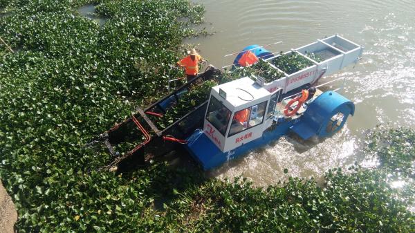 5m Length 45Kw 2000m3 River Water Cleaning Machine Lake Weed Removal Machine