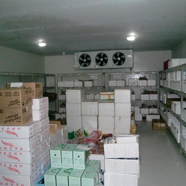CE Restaurants Fan Cooling R404A Walk In Cooler Freezer