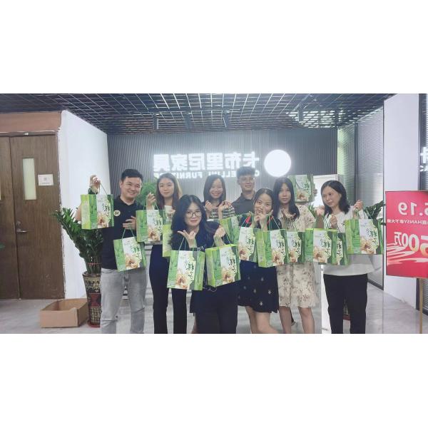 Foshan Cappellini Furniture Co., Ltd.