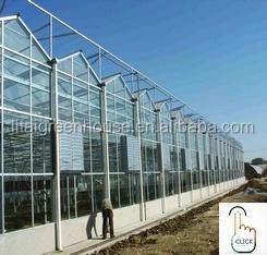 Multi-Span Agricultural Greenhouses Modern Tech Glass Greenhouse for Agriculture