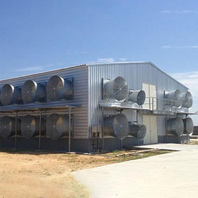 Custom Modern Steel Frame House , High Strength Metal Chicken House