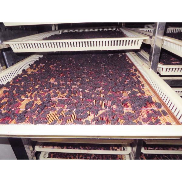 ISO9001 Industrial Fruit Oven Dryer Machine Hot Air Electric Auxiliary Heat 6m 8m