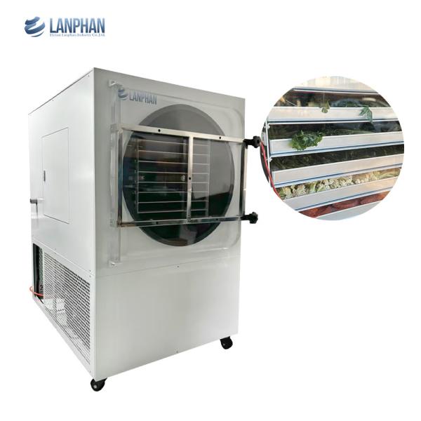 60-70 Kg / Batch Food Fruit Vegetable Large Freeze Dryer Commercial Freeze Drying Machine