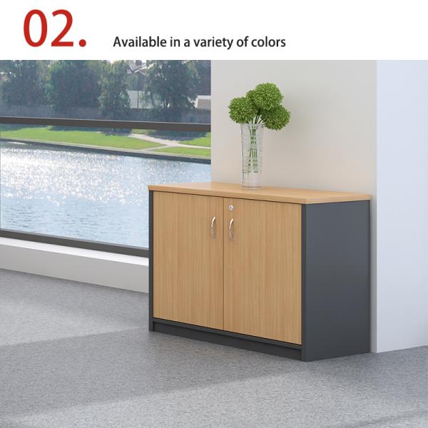 Double Door with Key Lock, Large Capacity Filing Cabinet, Wall Mounted Low Cabinet, Customizable Classified FilingCabinet