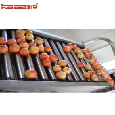 10 Grading Lanes Accurate Weight Sorting Automatic Apple Grading Machine For Food