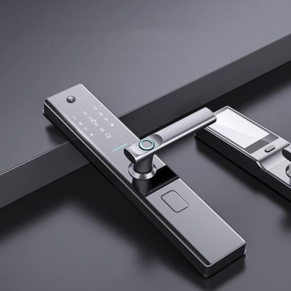Antitheft Smart Fingerprint Door Lock Biometric Outdoor Gate Lock Face Recognition