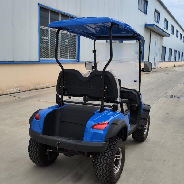 Blue Color 2 Seater Electric Off-Road Golf Cart High Power 12'' Tires 4kw Motor