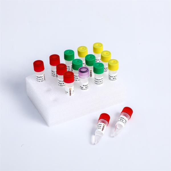 Fast DNA Library Prep Kit V2 K001S-A, K001S-B