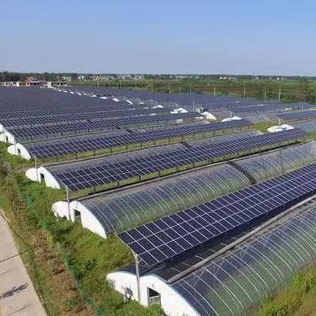 Projetos inovadores de estufas solares para pagamento inicial e comercial