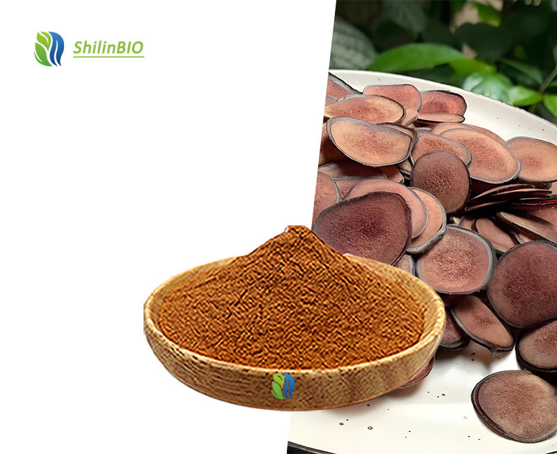 SLBIO Food Grade Deer Antler Herbal Extract 10:120:1 Water Soluble Deer Antler Powder