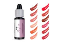 Coloriage rapide ODM Pigments de maquillage semi-permanent
