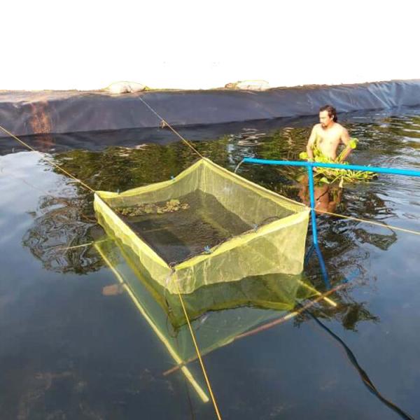 Waterproof Geomembrane HDPE Pond Liner for Shrimp Farming Easy to Install and Maintain