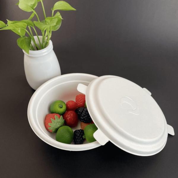 Customized Request Biodegradable Disposable Food Container Bagasse Pulp Salad Bowl