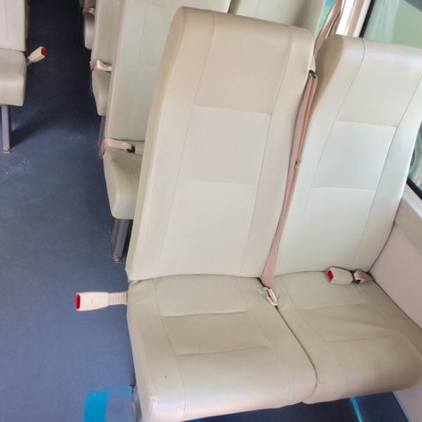 Автоматический автобус каботажного судна Seater излучения 30 передачи нул с цапфой ДАНА