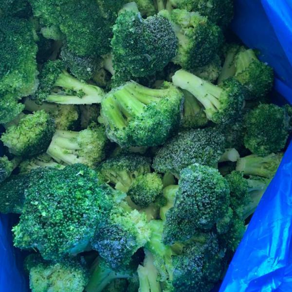 High Quality IQF Frozen Broccoli 20-40mm Premium Vegetable Product