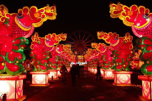 Electric Silk Fabric Chinese Lanterns Dinosaur Shaped For New Year Show
