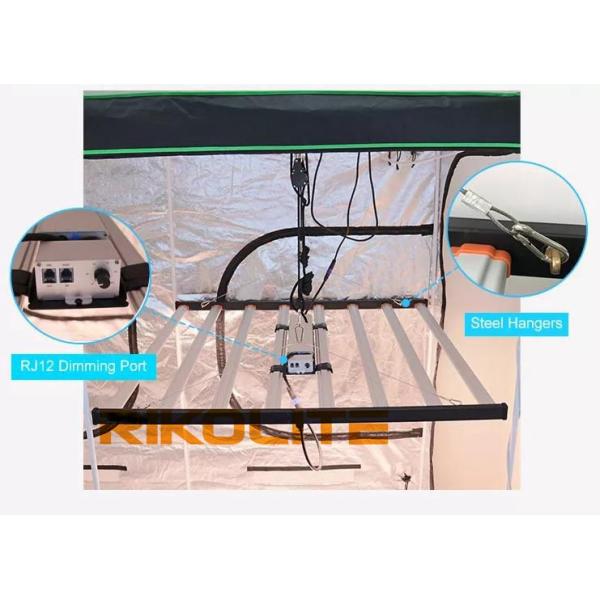 Indoor 6x6 Plant LED Grow Lights UV 385nm 395nm IR 730nm 740nm