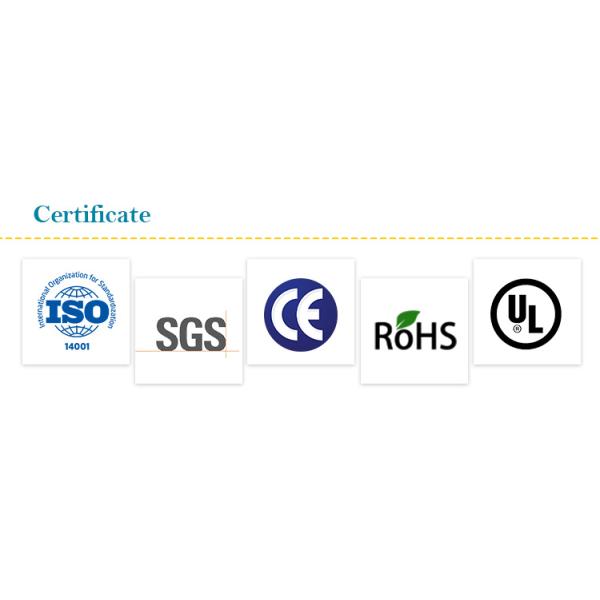 Custom Jungle Theme Trampoline Park with Protective Net for Indoor Entertainment