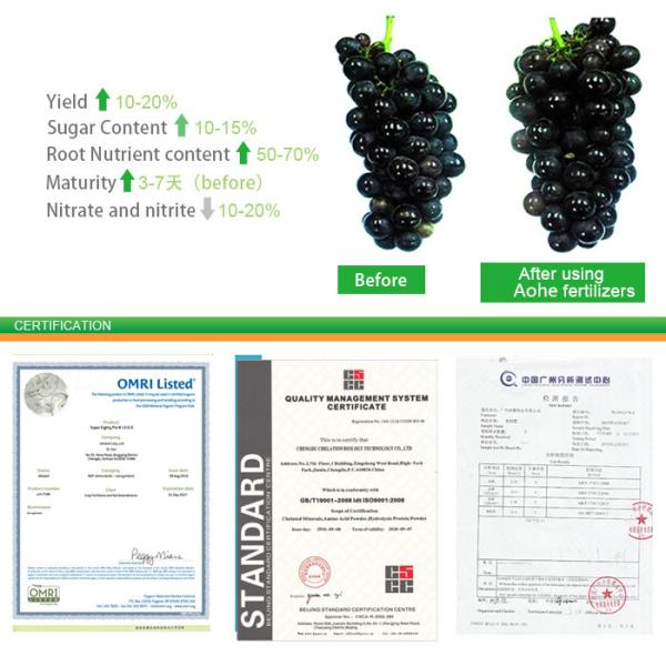 40% amino mais o extrato Foliar da planta do adubo estimulam o crescimento da raiz