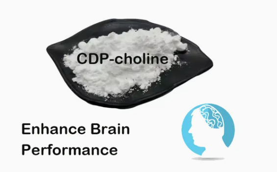 CAS 987-78-0 Dietary Supplement Powder Citicoline CDP-Choline 99% Purity