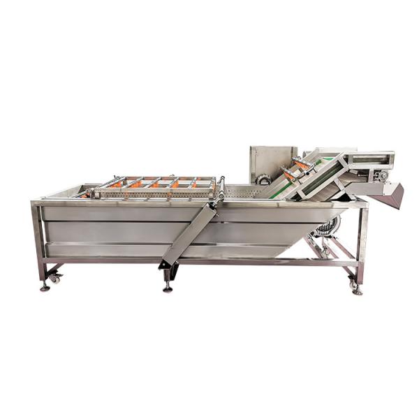 Cabbage Hoses For Washing Machine Japan