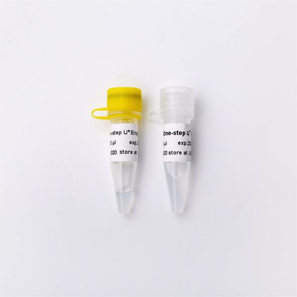 #V5011 200 Rxn 20uL/Rxn High Specificity One Step RT QPCR Master Mix V3