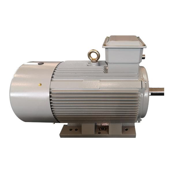 PMSM Heavy Duty Low Voltage Induction Motor 45kw 55kw 75kw 110kw