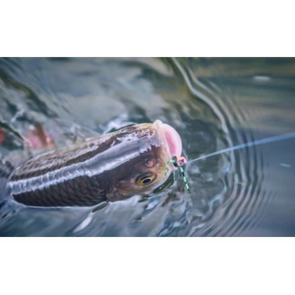 Резиновая ПВХ Minnow VIB Мягкий червь Бионическая приманка приманки 110PCS/Box