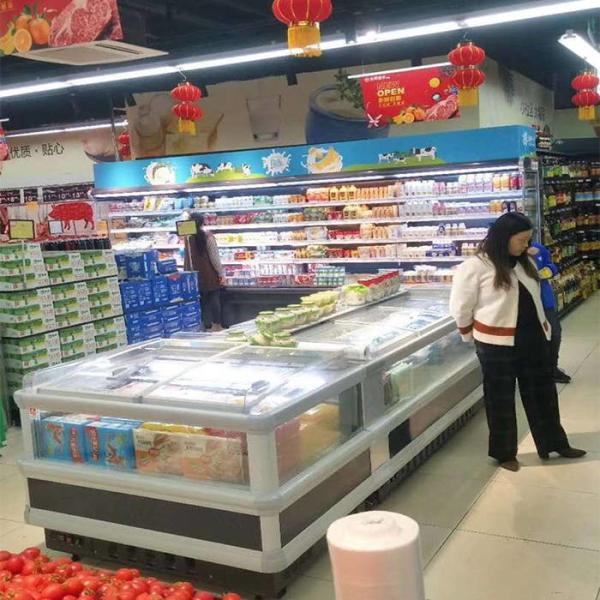 440L Supermarket Refrigeration Equipments For Frozen Food