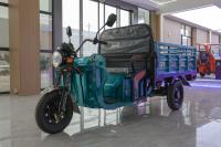 Passenger Electric Motorcycle 3 Wheel Tuk Tuk 800W 30-50Km/H