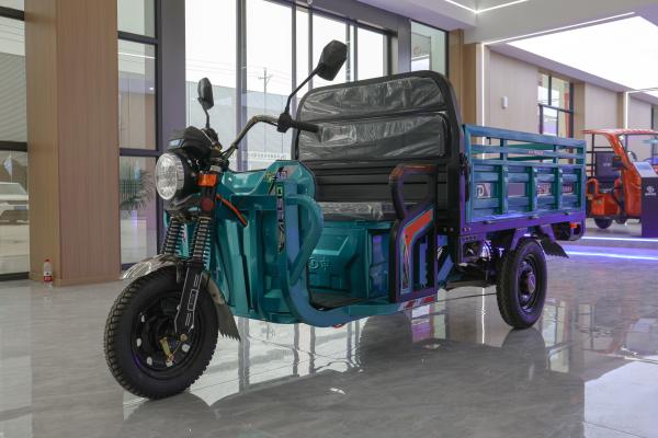 Semi Enclosed Two Seater Electric Tricycle 25km/H 60v 1000w