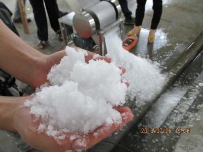 High Productivity Block Ice Crusher Erosion Resistant Smooth Operation