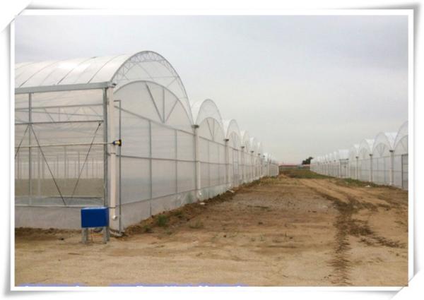 Customized Multi Span Agriculture Greenhouse for Vegetable Optional Irrigation System