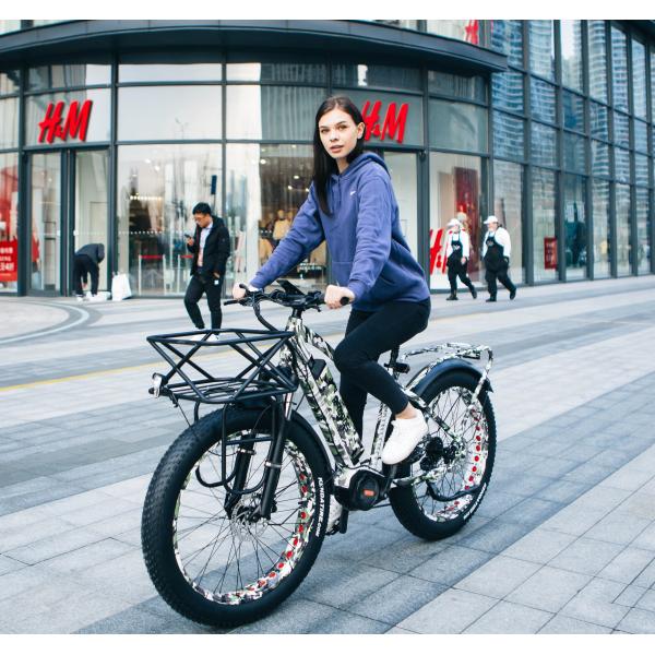 26 BaFang 1000W 48V 14AH Electric Fat Tire Middle Motor Mountain Bike for USA Market