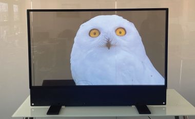 Ultra Thin High-definition OLED Transparent Display - Customizable for Indoor Advertising