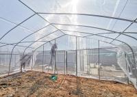 Films transparents poly-tunnel de grande taille suffisamment hauts pour l'agriculture verticale
