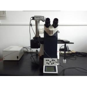 Wastone Technology Co.,Ltd.