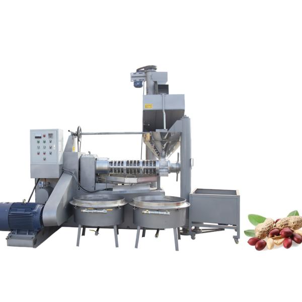 машина извлечения масла арахиса машины прессы масла винта гайки напряжения тока 380В
