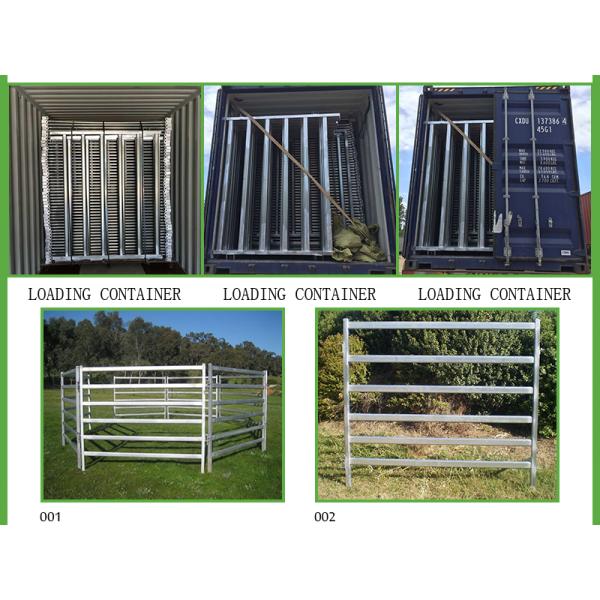 1800mm x 2100mm cattle panels oval pipes 30mm x 60mm ,40mm x 80mm