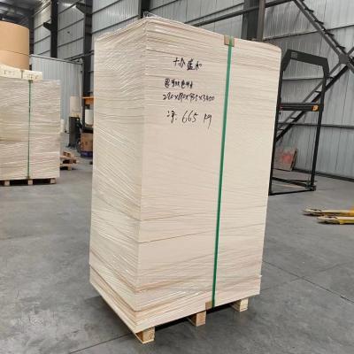 copo de papel da folha do copo de papel de 165gram 185gram que faz a matéria prima