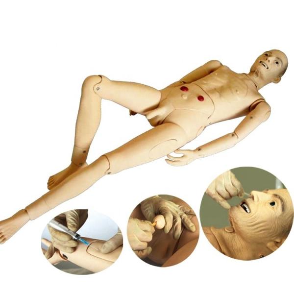 Full-functional Elderly Nursing Training Manikin with Blood Pressure Functionality