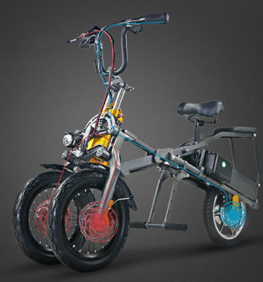 3 Wheel Foldable Electric Tricycle Bike High Speed Powerful 2 Pcs Battery 350W