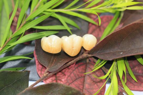 Dental Laboratory Zirconium Oxide Porcelain Zirconia Dental Crown With Ceramic
