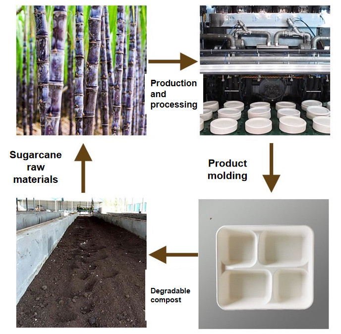 коробки раковины дюйма 6x6 Biodegradable, коробка гамбургера багассы