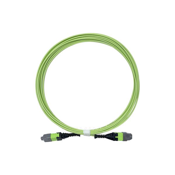 KEXINT 12 Core OM5 Fiber Optic Patch Cord MTP Pro Female 2.0mm 5M Type B Multimode