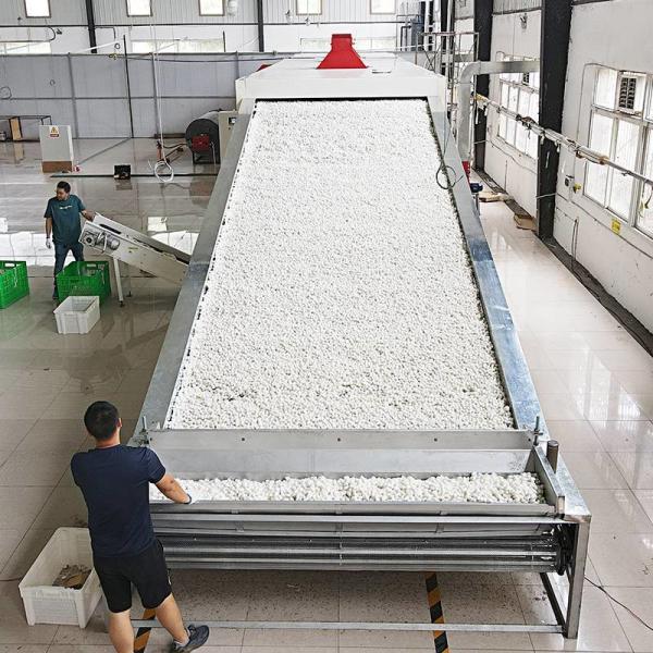 Silkworm Cocoon Belt Drying Machine Sericulture Equipment Drying Processing Machinery