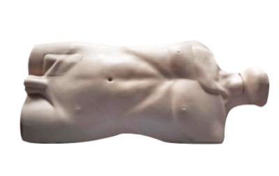 PVC Clinical Simulation Femoral Artery Puncture Model With Anatomical Position