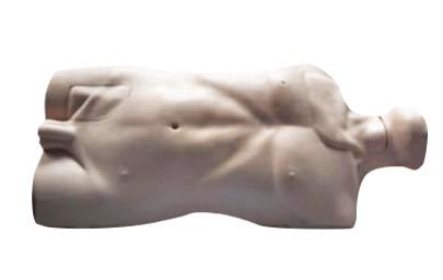PVC Clinical Simulation Femoral Artery Puncture Model With Anatomical Position
