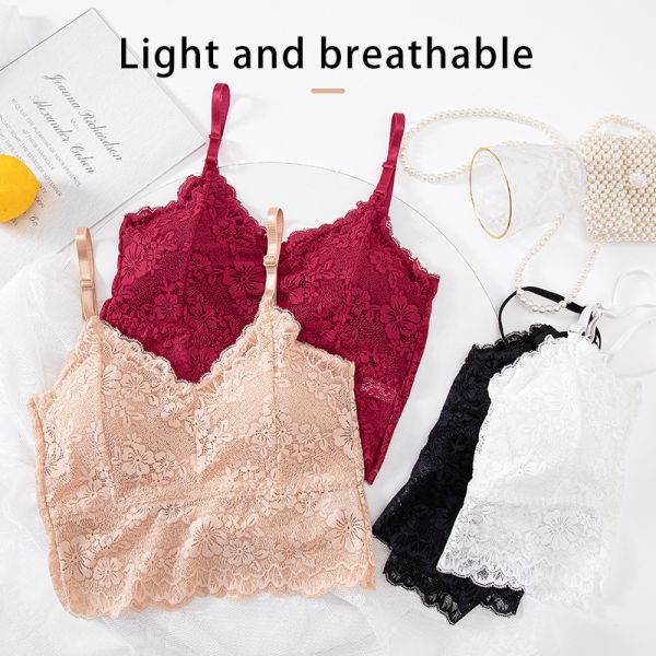 Women Lace Bra High Quality Lace Undergarments S-XL Sizes Available Multi-Colors Women Underpants Wholesale Sourcing Bra