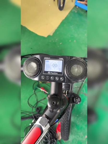 48V Lithium Battery Powered Mountain Bike Electric Dirt Bike 20 Mph